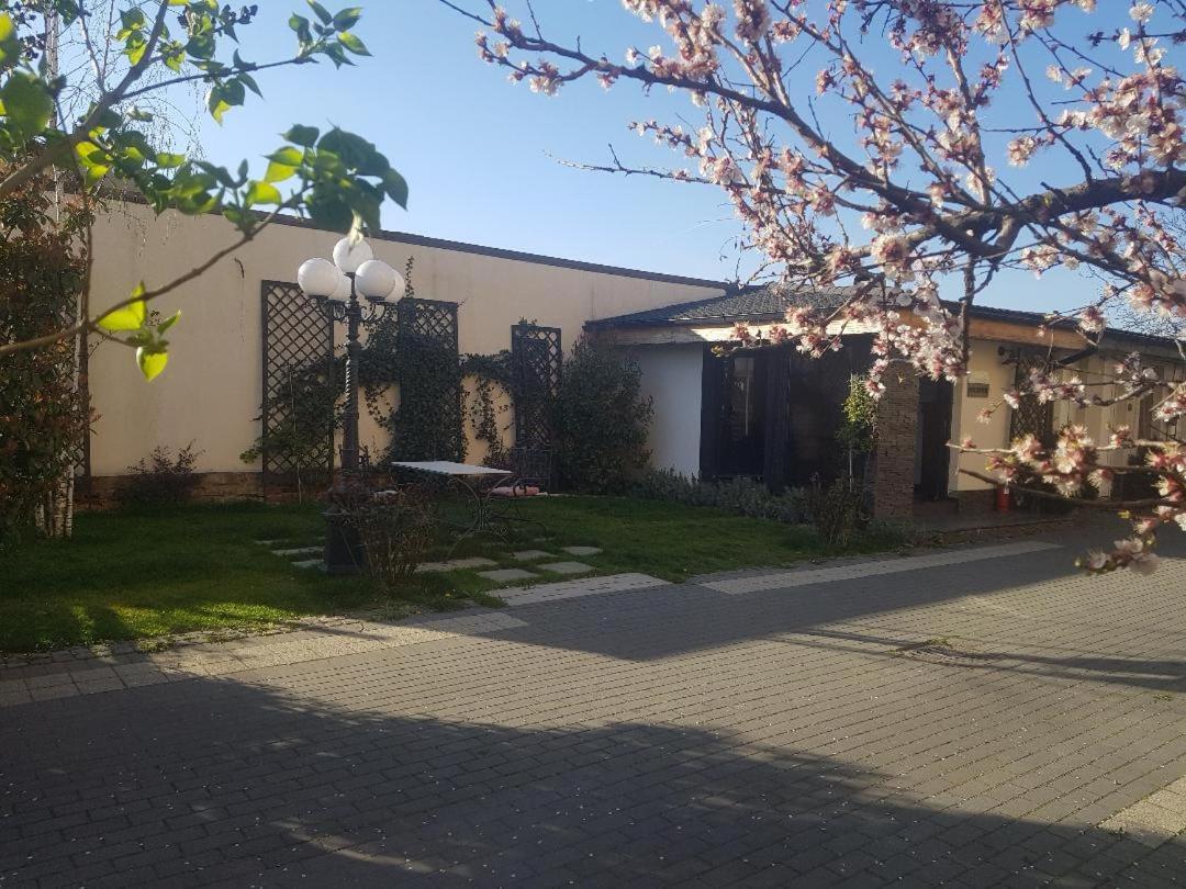Pensiune Arada Dış mekan fotoğraf
